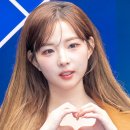 정하연 카카오 검색결과