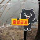 자산동141 | 김천 추천 여행코스, 가볼 만한 곳