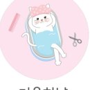 미용하냥 이미지
