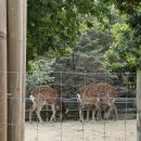 성수문화복지회관 | 성수동 주차 꿀팁 : 성수 문화 복지회관