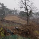 유복립 묘 이미지