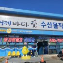 거제도 특산물 멸치,미역,오징어,동백꽃제품 눈 빙빙돌아가는 거제바다애