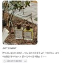 [후기] 홍대향수공방 &#39;닷노트&#39;