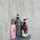 스위티펜션 이미지