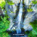 싱그러운청도로(가을) 이미지