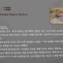 우지연대 이미지