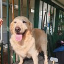 코코목욕 이미지