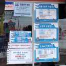 웰리힐리파크 관광단지 | 횡성 웰리힐리파크 자연차림, 눈썰매, 곤돌라 내돈내산 솔직후기