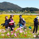 당남리섬 가을사랑축제 이미지