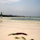 김녕해수욕장 이미지