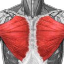 BODY MAKER 이미지