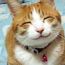 성광직업재활원 이미지