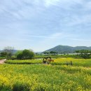 화순 하니움문화스포츠센터 테니스장 이미지