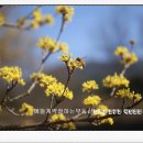 계약잘하는에뜰부동산중개사무소 이미지