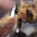 신촌연탄갈비