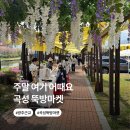 곡성어린이도서관 | 곡성 뚝방마켓 후기 (광주 근교 아이와 가볼만한곳 + 어린이도서관 코스)