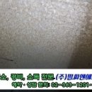 서울양명초등학교 이미지
