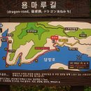 2월 정기산행(시산제) 담양호 용마루길 이미지