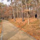 부소산성 삼충사 내 이미지