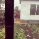 라이앤미 이미지