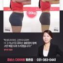 (주)쥬비스다이어트 평촌점 네이버블로그
