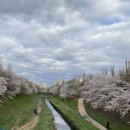 세림리빙텔 네이버블로그