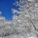 내장산숯불갈비 이미지