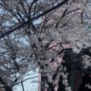 데이카페