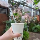 천상 - 수원시 영통구 청명로 28 | 성수동 카페 추천｜성수카페거리 천상가옥 후기, 식물원카페 감성 가득한 성수동카페