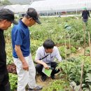 다둥이농장 이미지