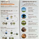 삼양 | 평창 대관령 삼양라운드힐 방문 후기 및 꿀팁