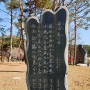 용문산 둥지 이미지