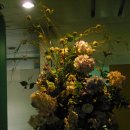 동인외과병원 이미지