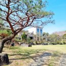 김천정월식당 이미지