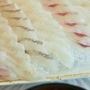 속초바다회 이미지