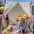 (주)천지인터내셔널트럭 | 렛츠런파크 서울 후기 ,주차 핵꿀팁, 승마체험, 각종 공연/체험, 과천 벚꽃