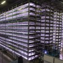 세계농장 이미지