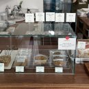 모니모니해도비건(mmv) 이미지