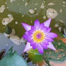 티나하우스 이미지