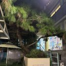 팡피씨카페본점 | 성수 카페 디저트 맛집 쿠키, 케이크 너무 맛있는 구욱희씨 서울숲 본점 후기