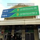 강화인삼센타 다미네