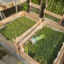 산동중학교 이미지