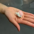 지에스25 단구공원점 | 사당역 호텔 스테이 패스포트 사당 시즈쿠 프라이빗 스파 내돈내산 후기