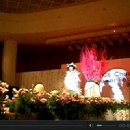 바디플라워 이미지