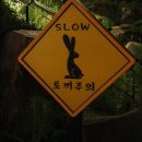 호포주유소 이미지