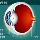 스마트폰에 혹사 당하는 눈… 지금, 휴식할 때입니다 이미지