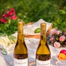 (주)투유코리아 이미지