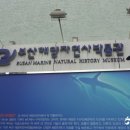 부산해양자연사박물관 이미지