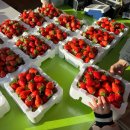 이철우농장 이미지