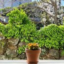 애월구엄민박 이미지